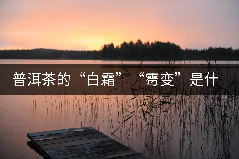 普洱茶的“白霜”“霉變”是什么鬼？