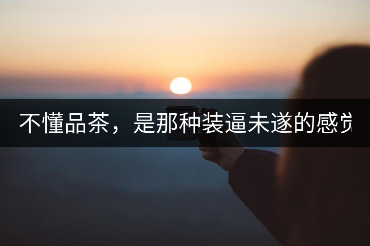 不懂品茶，是那種裝逼未遂的感覺？