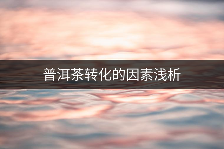 普洱茶轉化的因素淺析