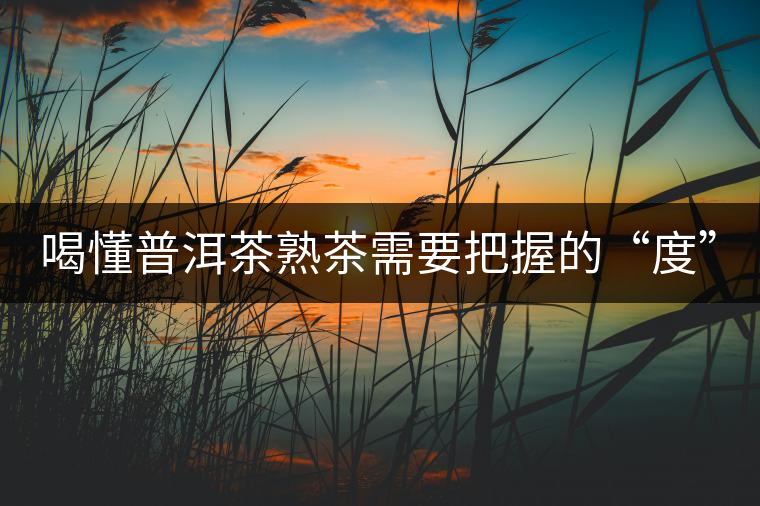 喝懂普洱茶熟茶需要把握的“度”