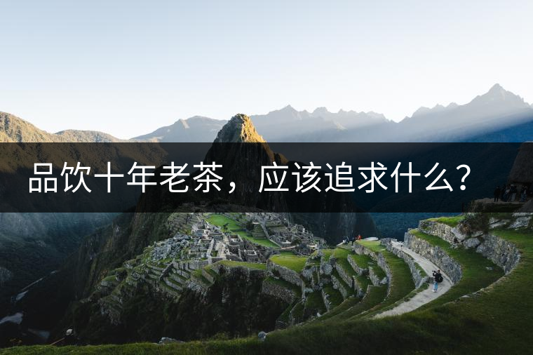 品飲十年老茶，應(yīng)該追求什么？滋味還是故事？