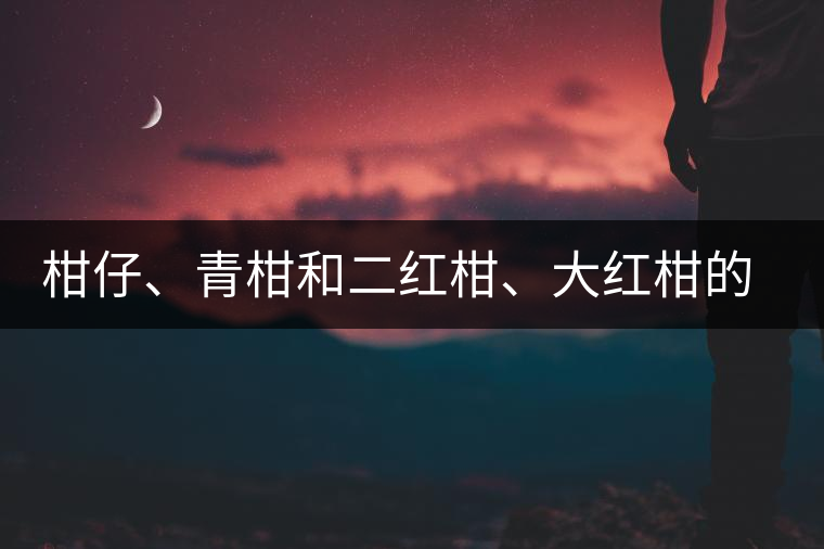 柑仔、青柑和二紅柑、大紅柑的區(qū)別，你可知道？