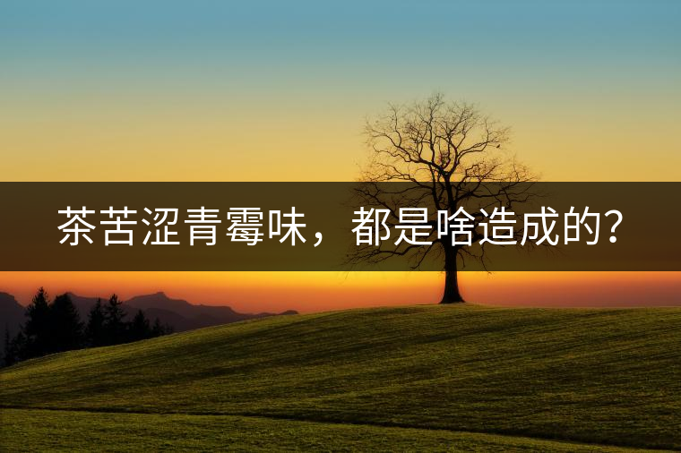 茶苦澀青霉味，都是啥造成的？