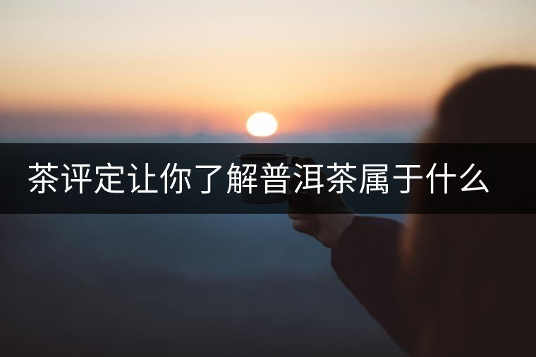 茶評(píng)定讓你了解普洱茶屬于什么茶系？