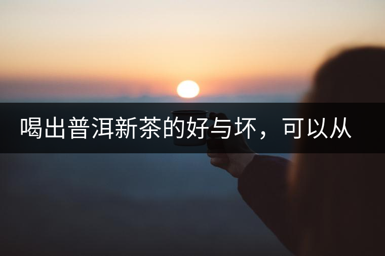 喝出普洱新茶的好與壞，可以從這五點(diǎn)出發(fā)