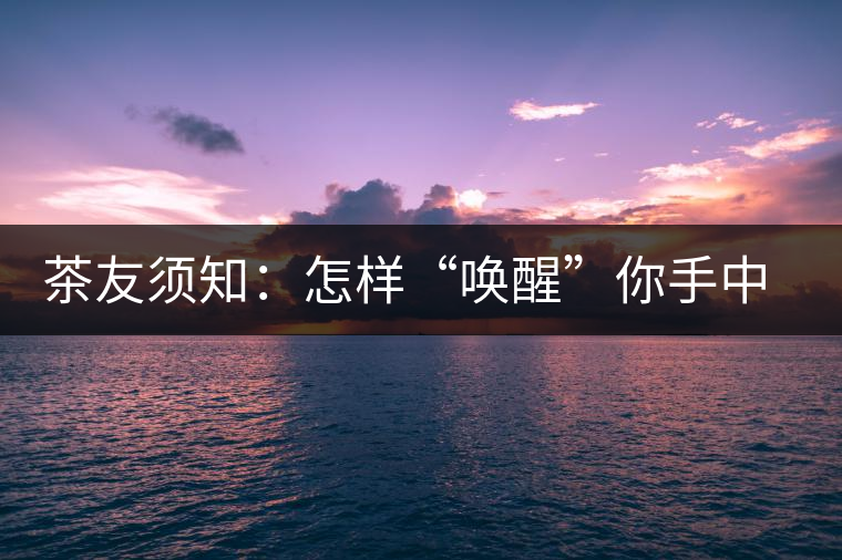 茶友須知：怎樣“喚醒”你手中的那一餅普洱茶？