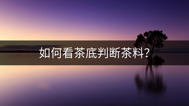 如何看茶底判斷茶料？