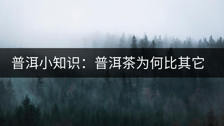 普洱小知識(shí)：普洱茶為何比其它茶葉耐泡？