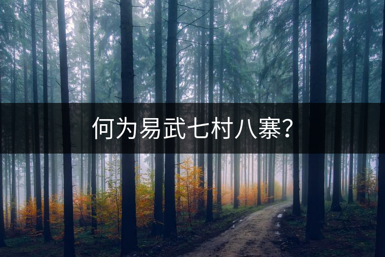 何為易武七村八寨？