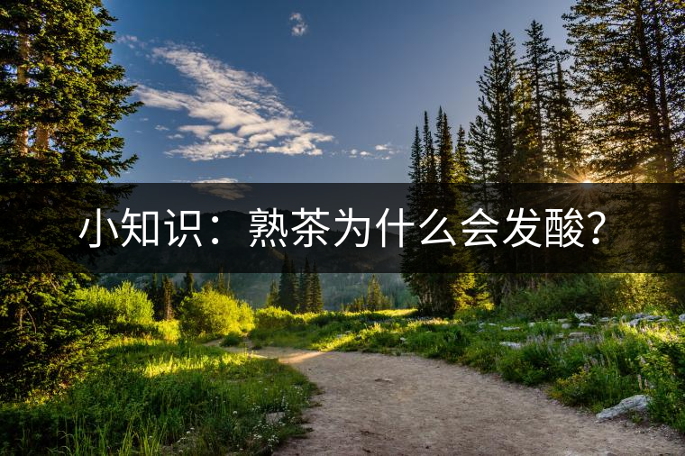 小知識(shí)：熟茶為什么會(huì)發(fā)酸？