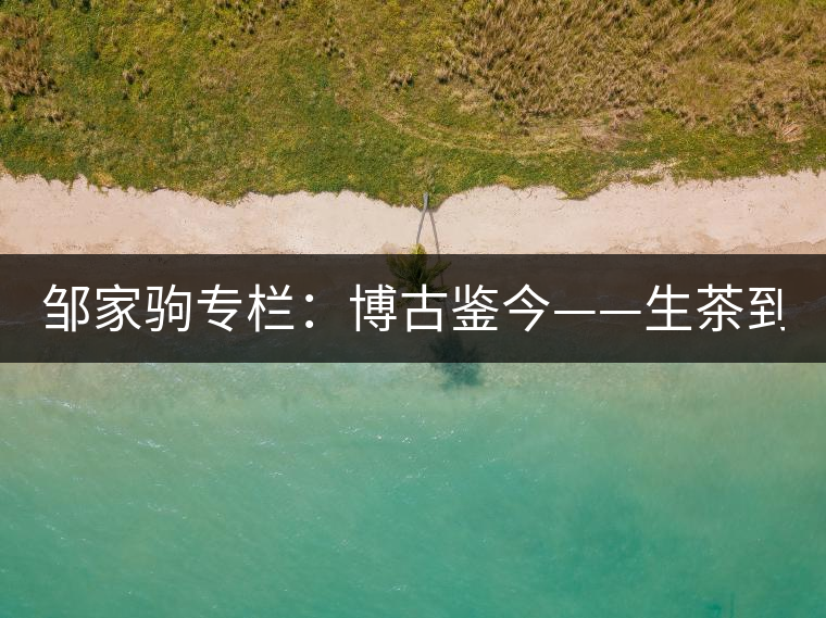 鄒家駒專欄：博古鑒今——生茶到底是不是普洱茶？