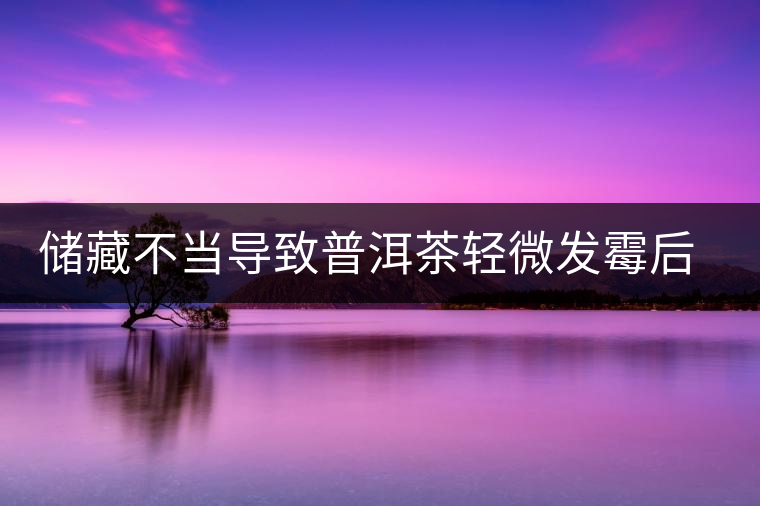 儲藏不當(dāng)導(dǎo)致普洱茶輕微發(fā)霉后如何處理？