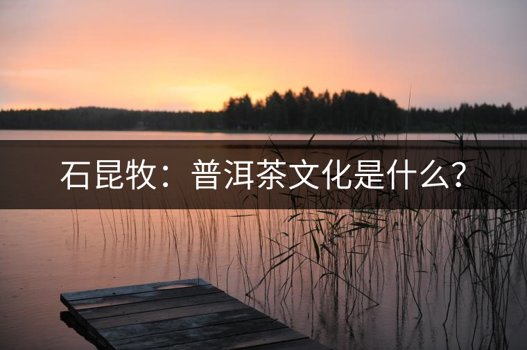 石昆牧：普洱茶文化是什么？