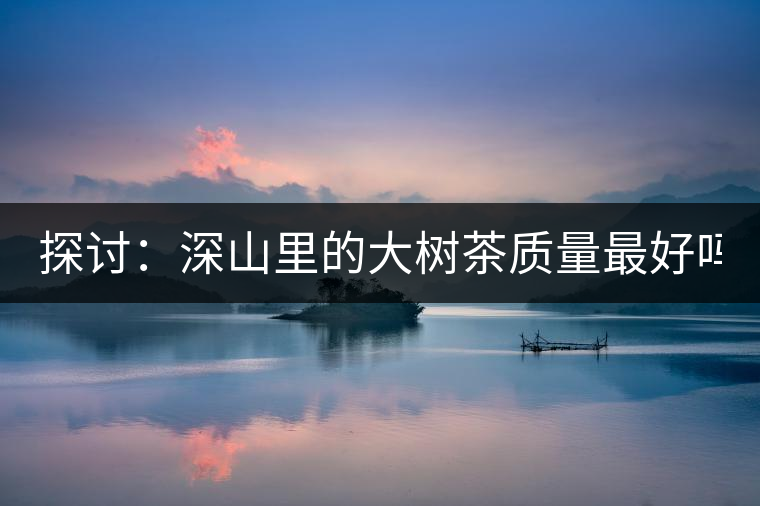 探討：深山里的大樹茶質(zhì)量最好嗎？