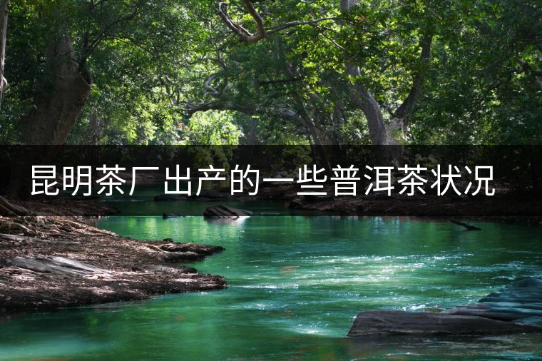 昆明茶廠出產(chǎn)的一些普洱茶狀況是怎樣？