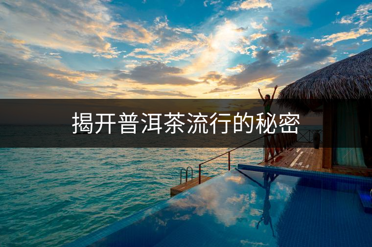 揭開普洱茶流行的秘密