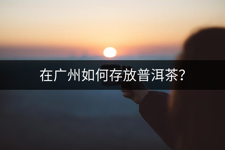 在廣州如何存放普洱茶？