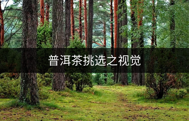 普洱茶挑選之視覺(jué) 普洱茶挑選之視覺(jué)