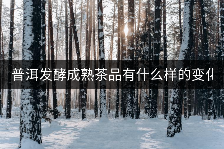 普洱發(fā)酵成熟茶品有什么樣的變化？