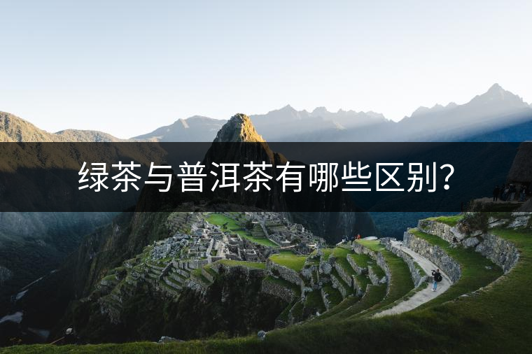 綠茶與普洱茶有哪些區(qū)別？