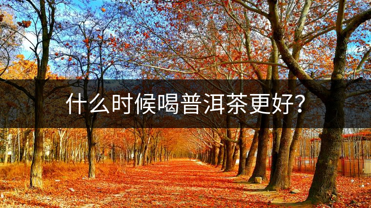 什么時(shí)候喝普洱茶更好？