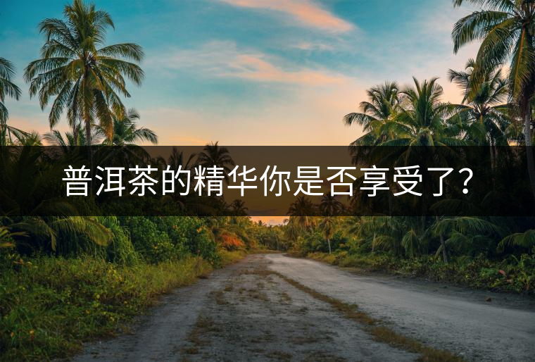 普洱茶的精華你是否享受了？