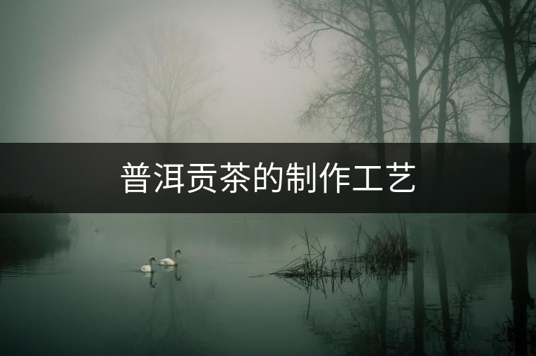 普洱貢茶的制作工藝