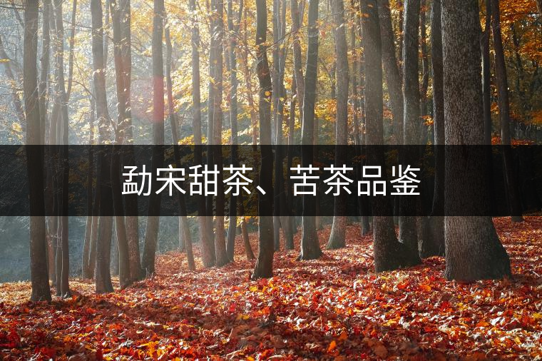 勐宋甜茶、苦茶品鑒