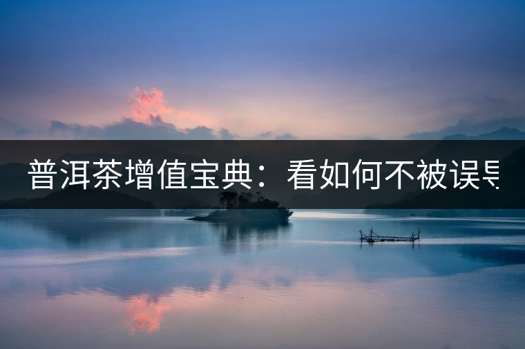 普洱茶增值寶典：看如何不被誤導(dǎo)？