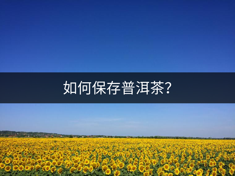 如何保存普洱茶？
