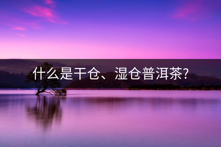 什么是干倉、濕倉普洱茶?