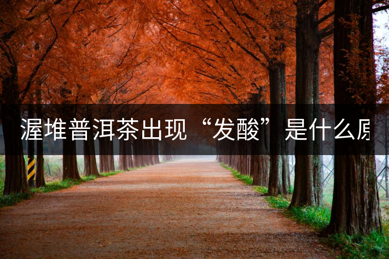 渥堆普洱茶出現(xiàn)“發(fā)酸”是什么原因？