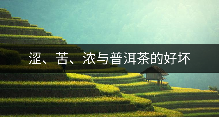 澀、苦、濃與普洱茶的好壞