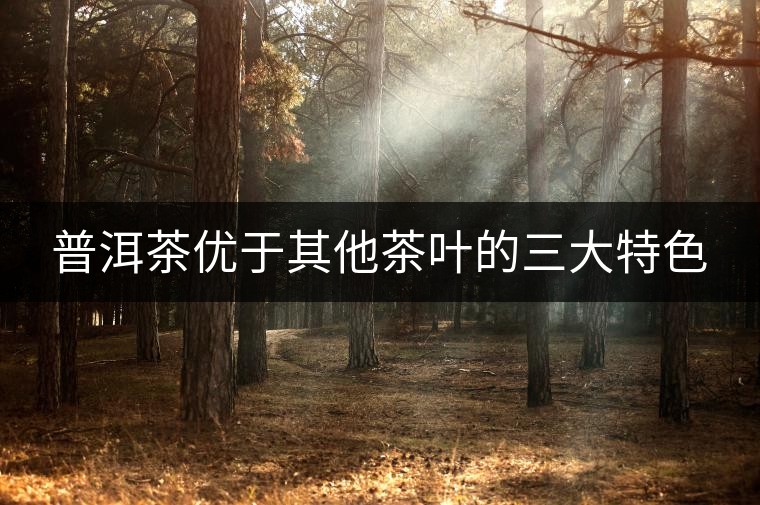 普洱茶優(yōu)于其他茶葉的三大特色