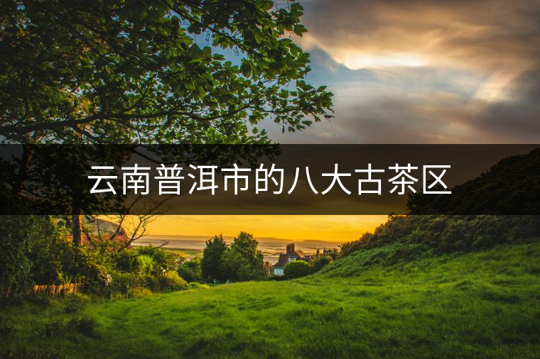 云南普洱市的八大古茶區(qū)