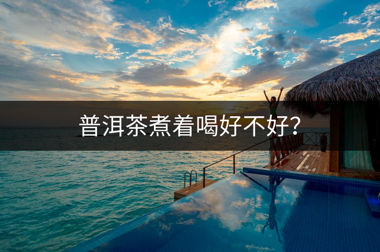 普洱茶煮著喝好不好？