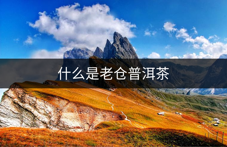 什么是老倉普洱茶