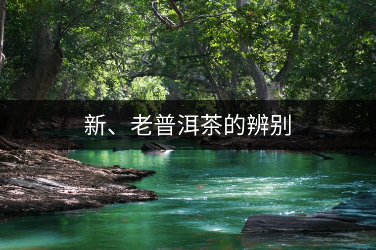 新、老普洱茶的辨別