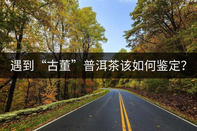 遇到“古董”普洱茶該如何鑒定？