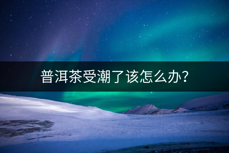 普洱茶受潮了該怎么辦？