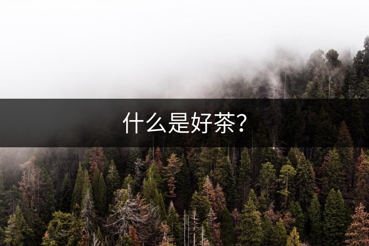 什么是好茶？