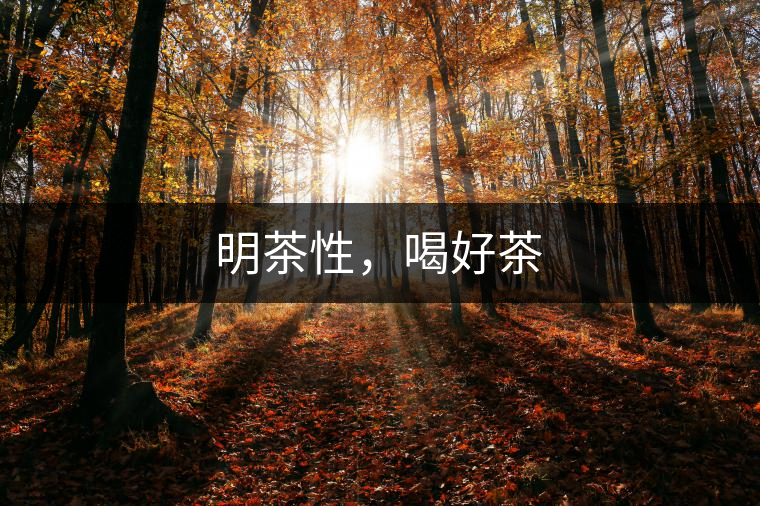 明茶性，喝好茶