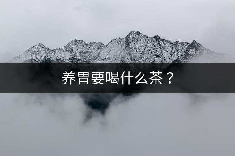 養(yǎng)胃要喝什么茶 ？