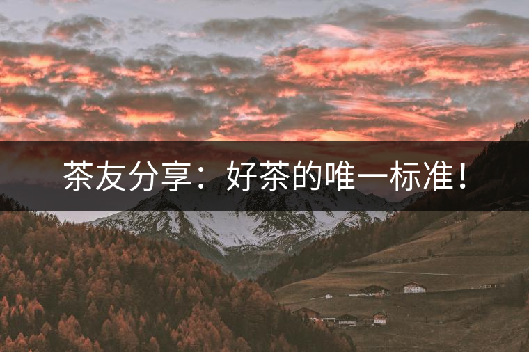茶友分享：好茶的唯一標(biāo)準(zhǔn)！