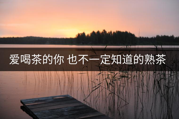 愛喝茶的你 也不一定知道的熟茶知識(shí)！