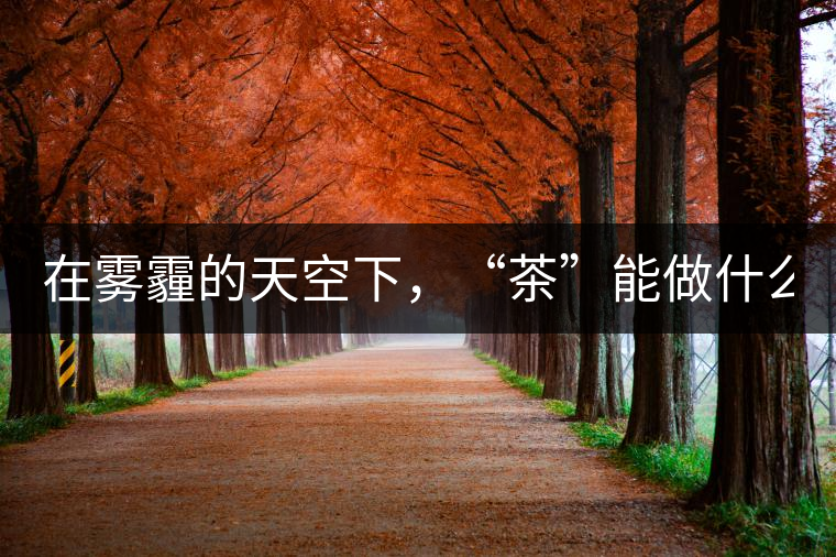 在霧霾的天空下，“茶”能做什么？