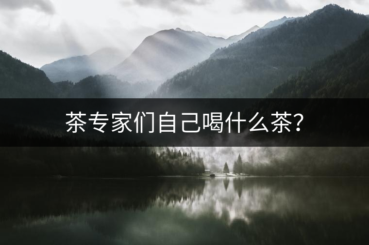 茶專家們自己喝什么茶？