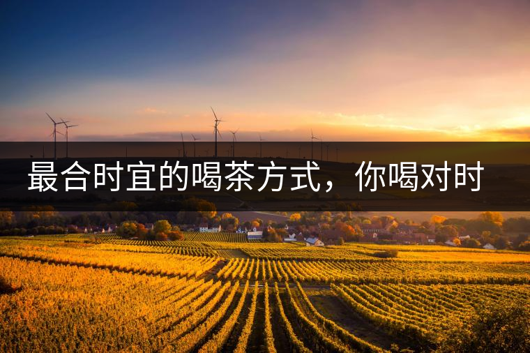 最合時宜的喝茶方式，你喝對時間了嗎？