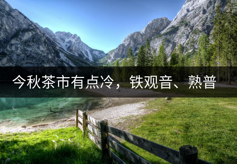 今秋茶市有點(diǎn)冷，鐵觀音、熟普受專(zhuān)家推崇
