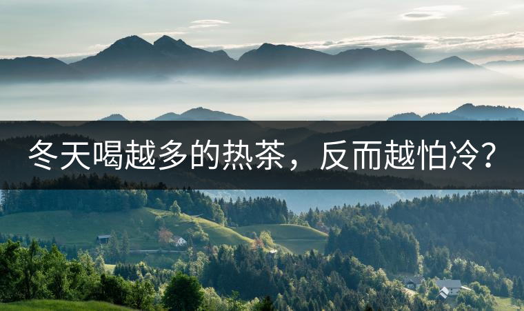 冬天喝越多的熱茶，反而越怕冷？
